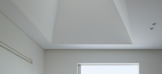 Living / Dining