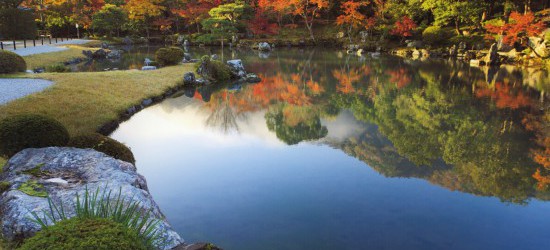 Japanese Garden