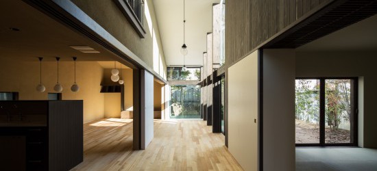 Living / Dining