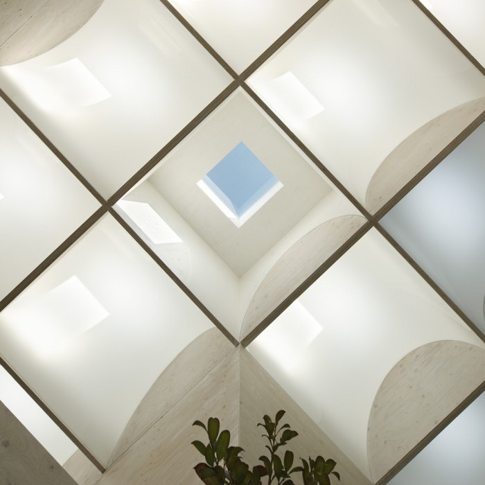 Daylight House Decor