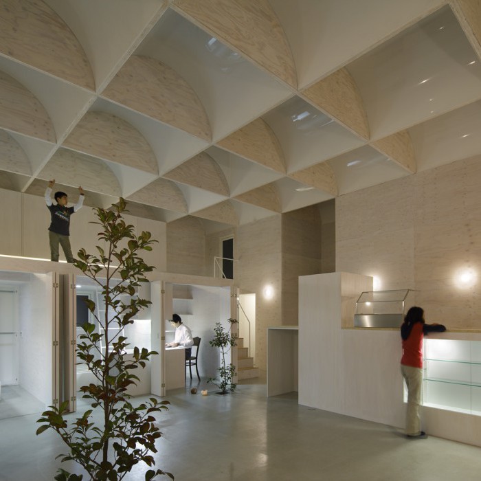 Daylight House Kitchen Design