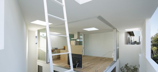 Living / Dining