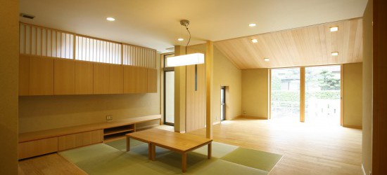 Living / Dining